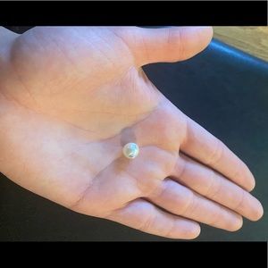 🤍🌊AUTHENTIC UNMODIFIED INTACT AKOYA PEARL🌊🤍